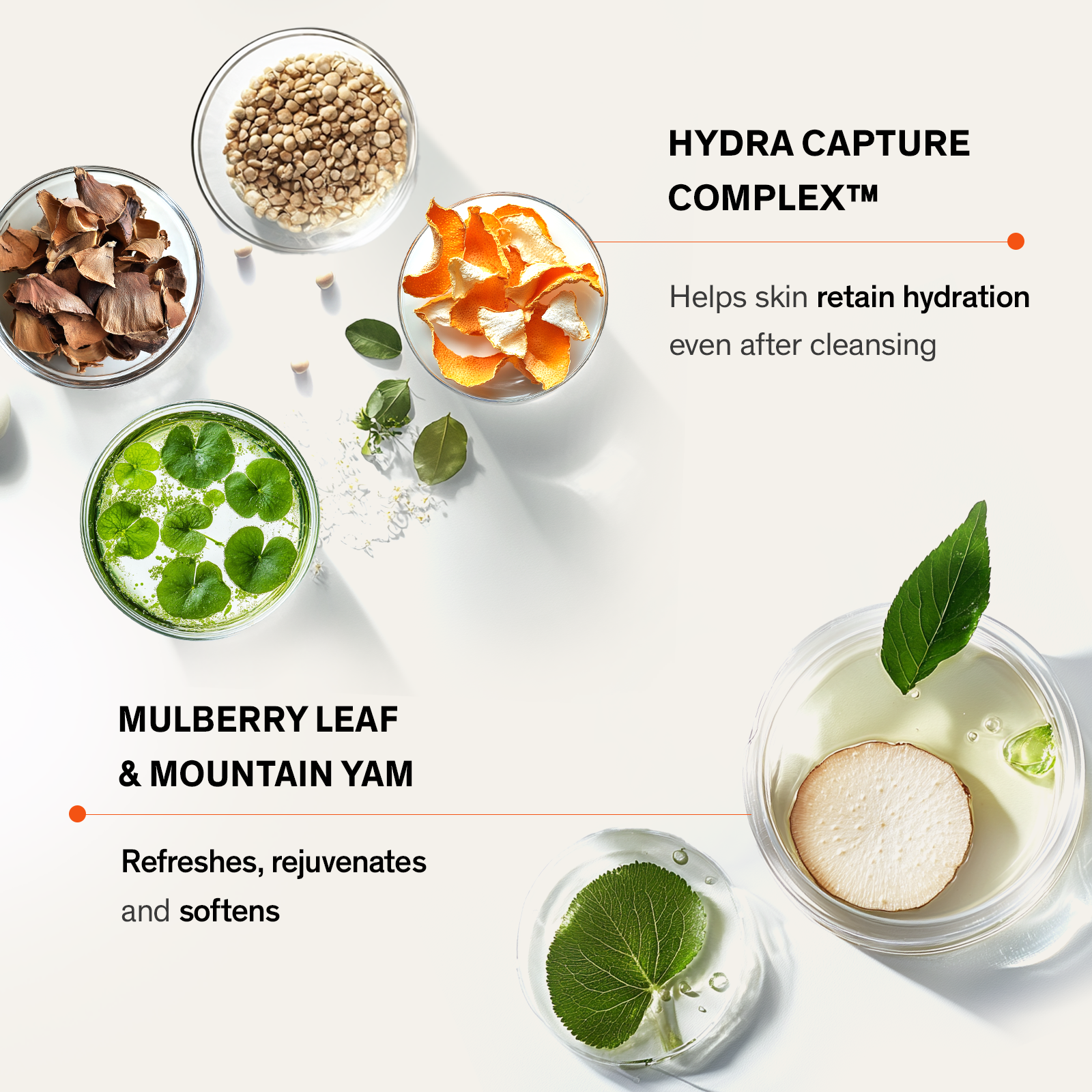 Sulwhasoo Galleria Cleansing Foam