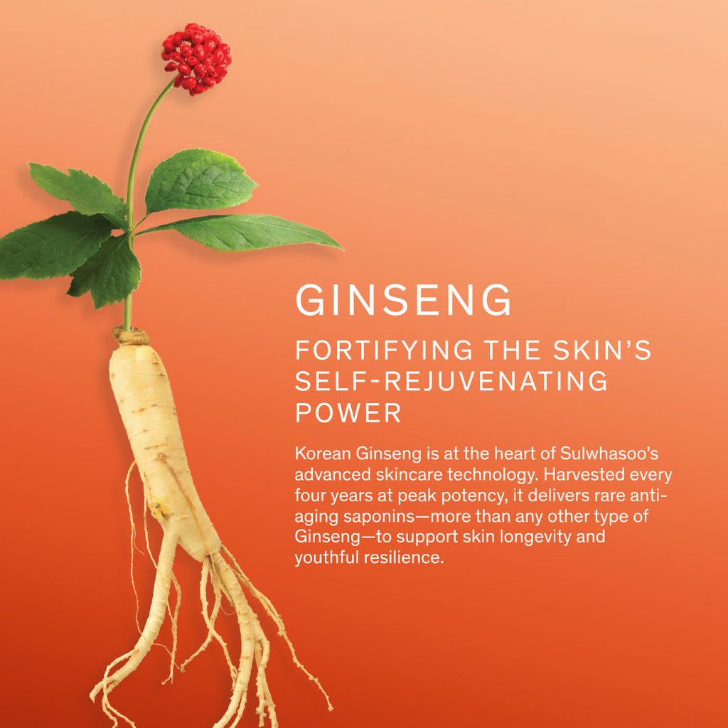 Sulwhasoo Concentrated Ginseng Rejuvenating Cream Rich Set
