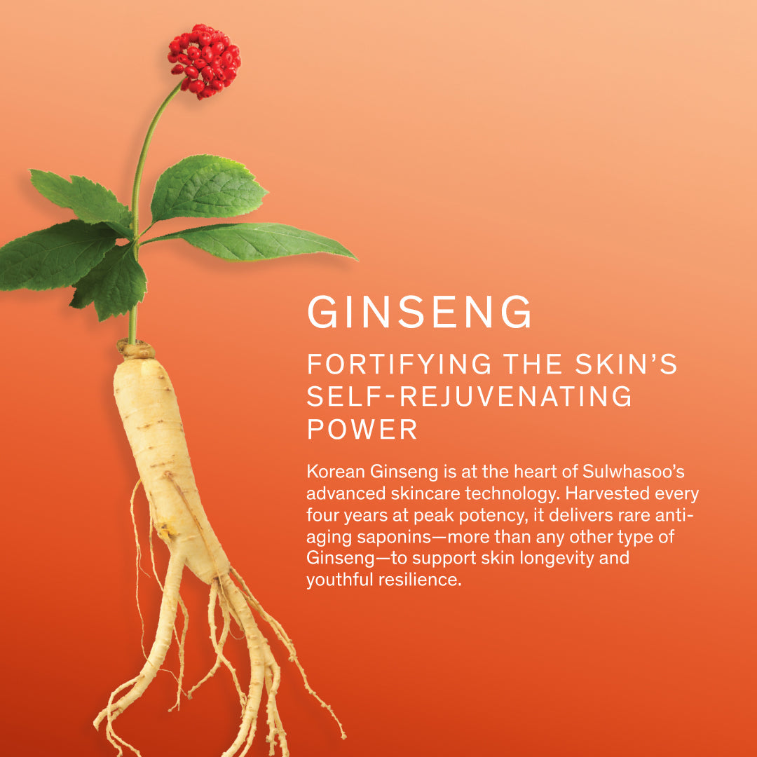 Sulwhasoo Concentrated Ginseng Rejuvenating Cream Rich Set